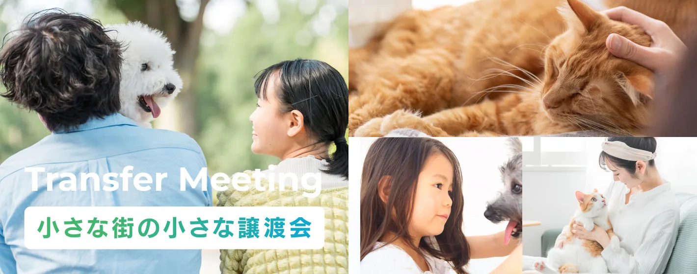 譲渡会