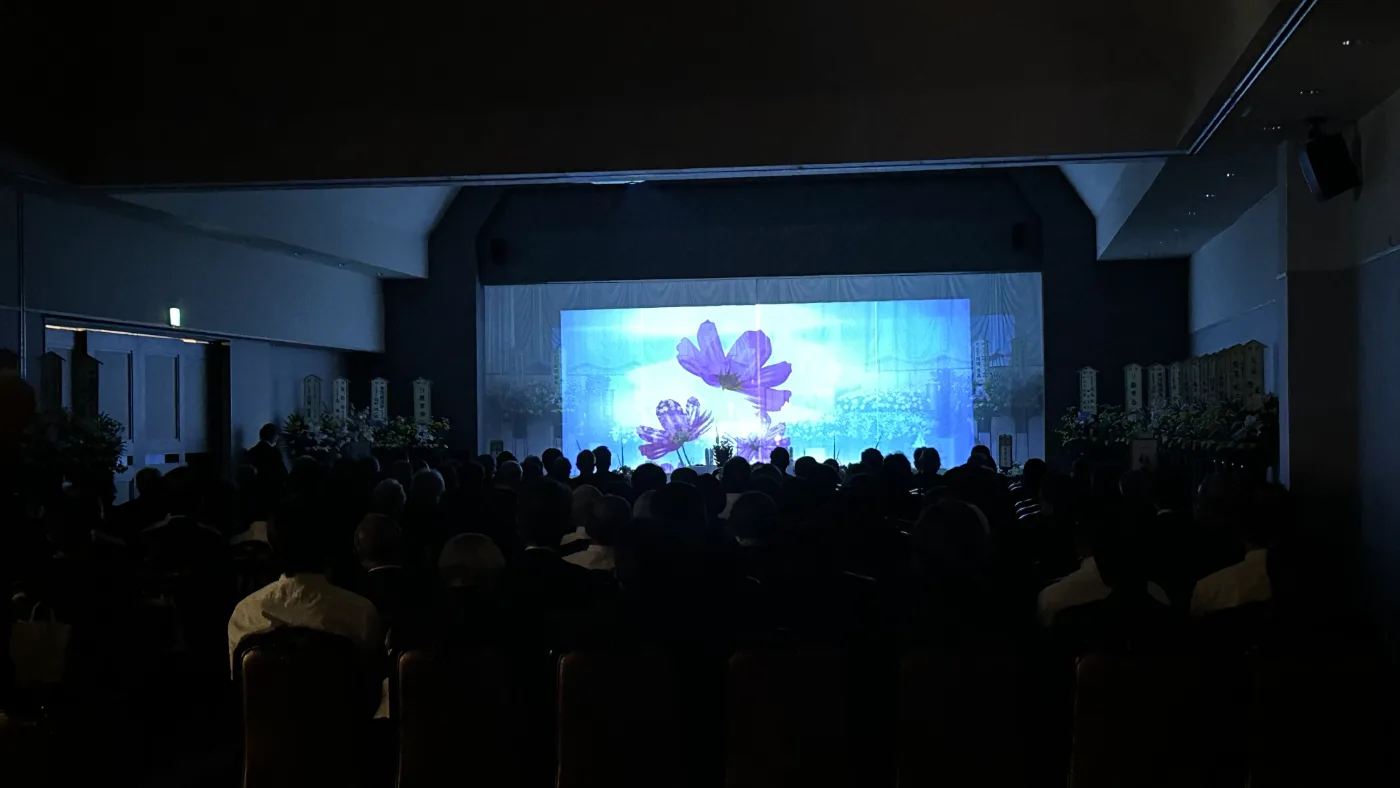コスモスの花がスクリーンいっぱいに咲く