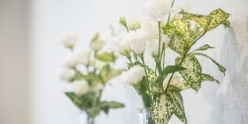 宗教者とのお付き合いのない方