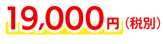 19,000円〜(税別)