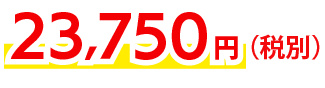 23,750円〜(税別)