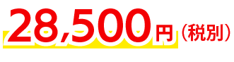 28,500円〜(税別)